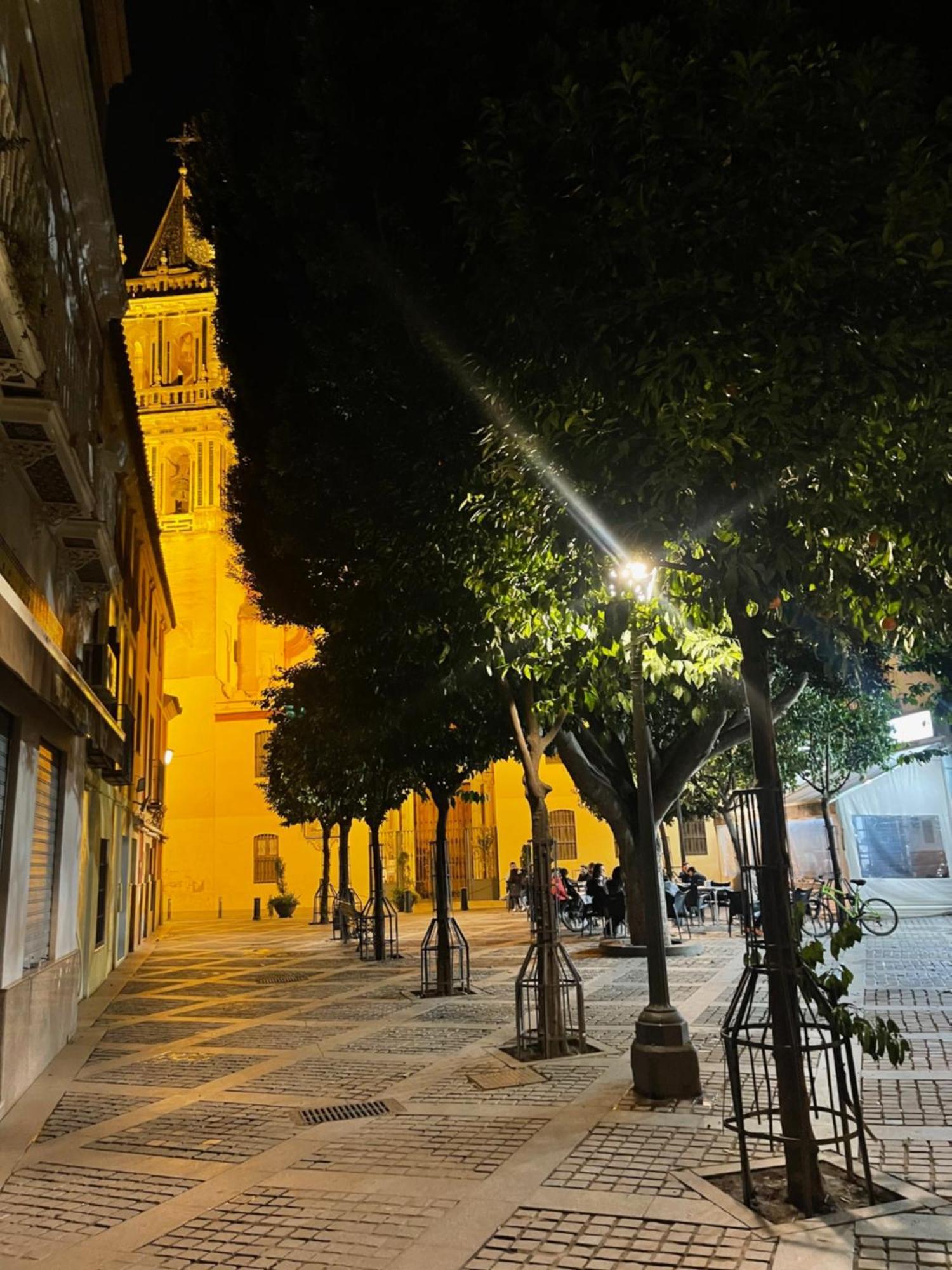 Apartamento Calle Rodrigo De Triana Con Opcion De Parking 塞维利亚 外观 照片